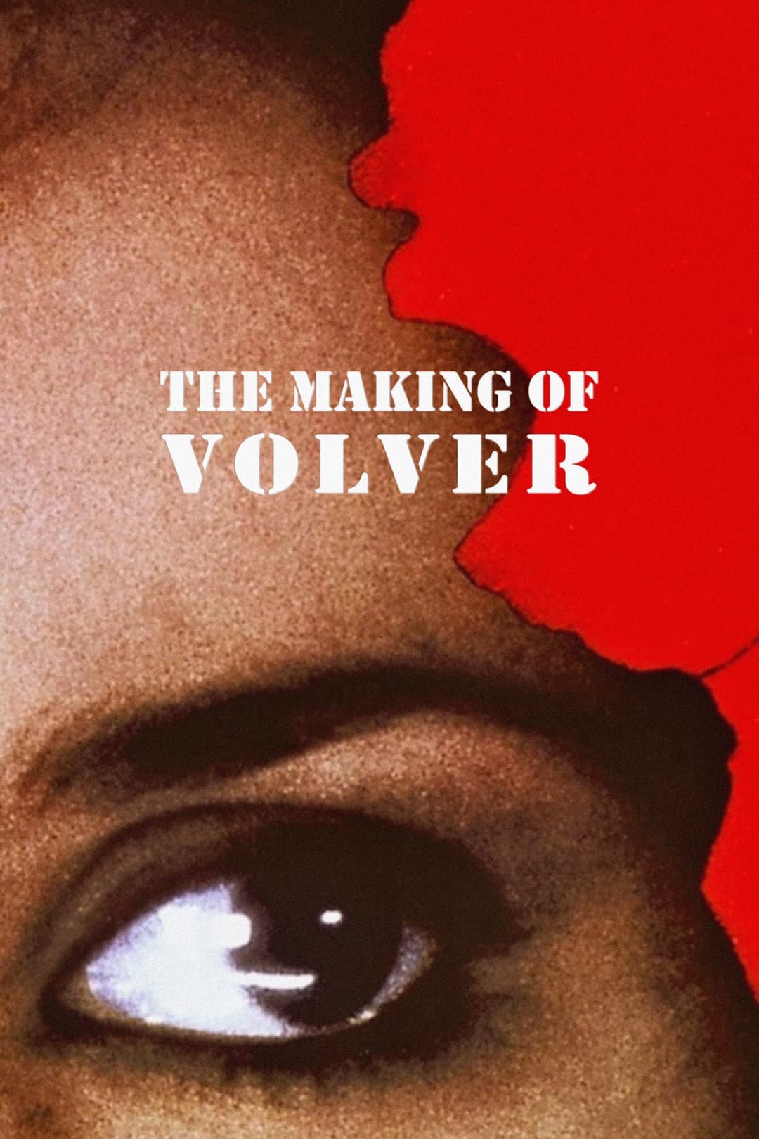 Poster di The Making of Volver