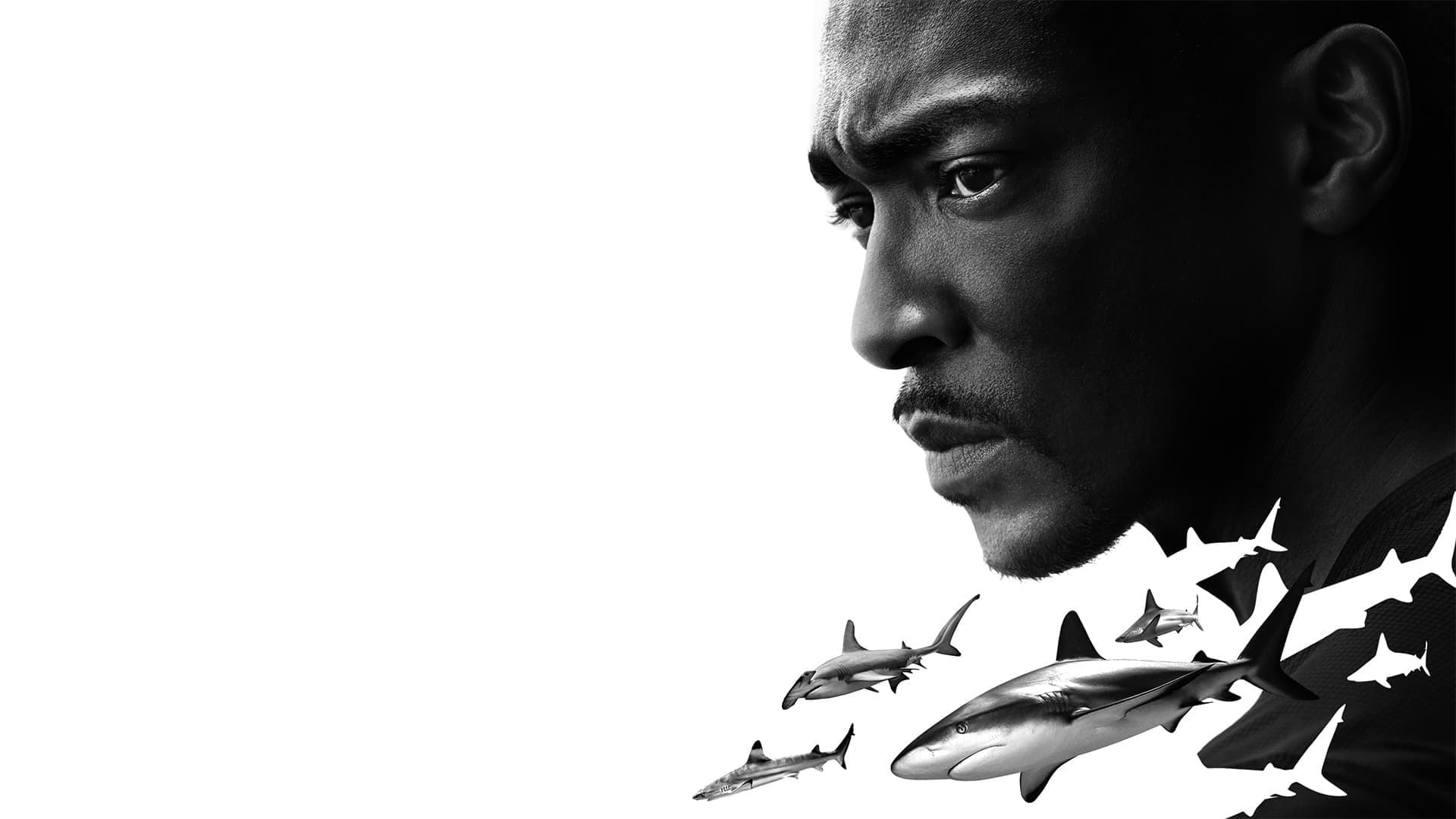 Shark Beach with Anthony Mackie - immagine