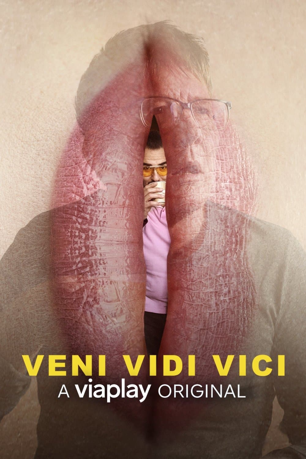 Poster di Veni Vidi Vici