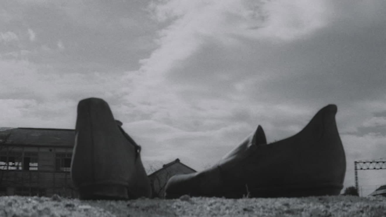 The Temple of Wild Geese - immagine