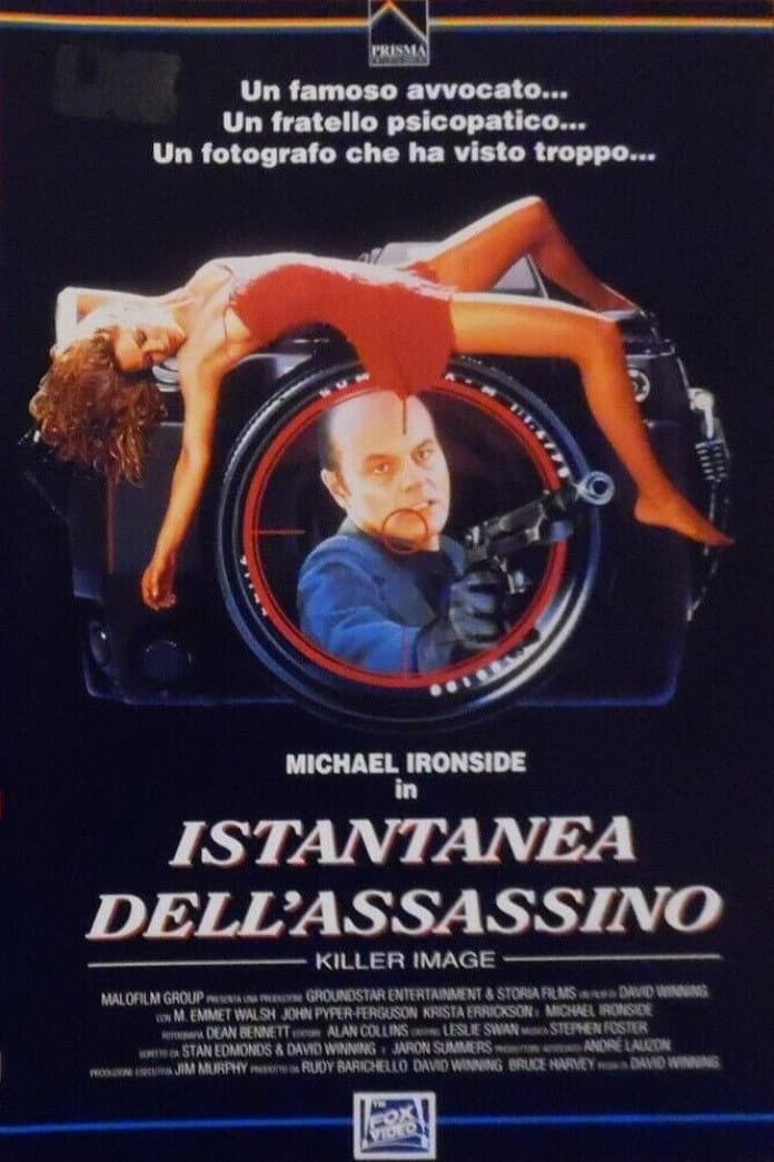 Poster di Istantanea dell'assassino