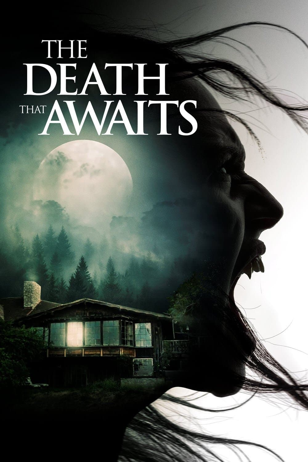 Poster di The Death That Awaits