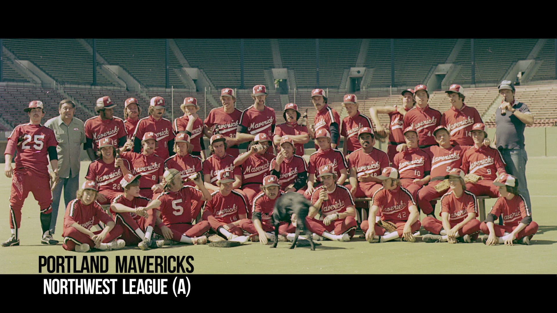 The Battered Bastards of Baseball - immagine