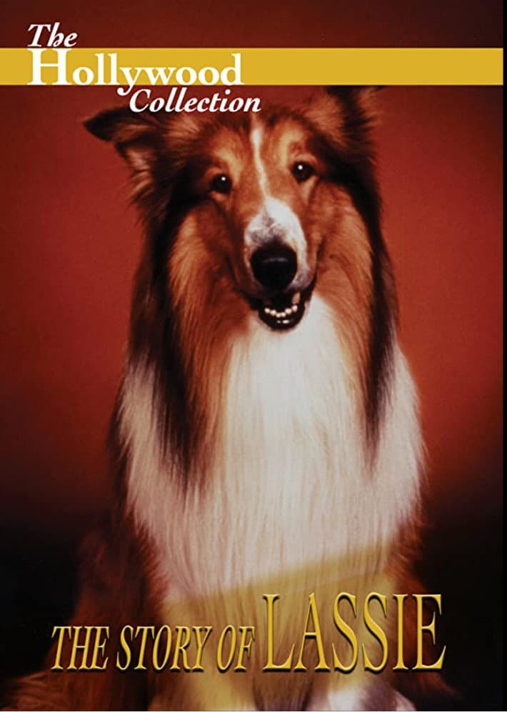 Poster di The Story of Lassie
