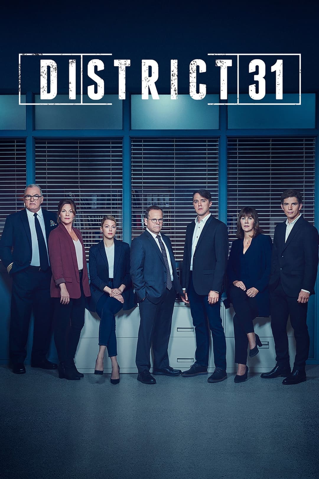 Poster di District 31