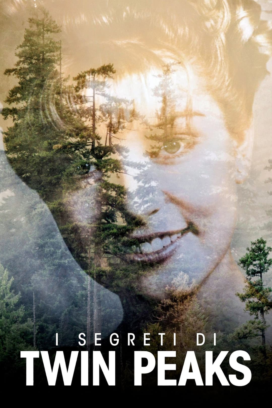 Poster di I segreti di Twin Peaks