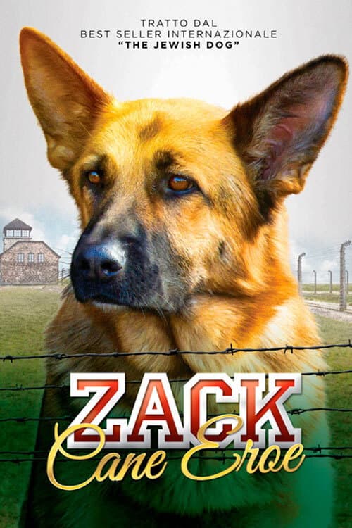 Poster di Zack, cane eroe