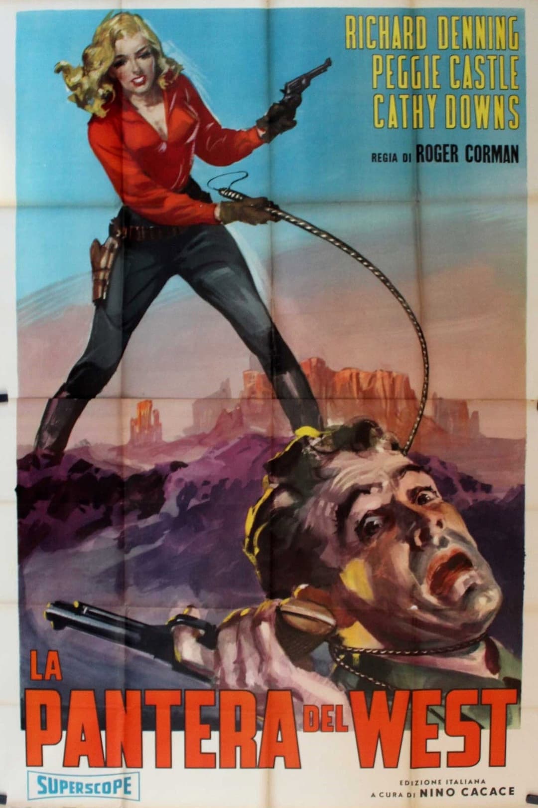 Poster di La pantera del West