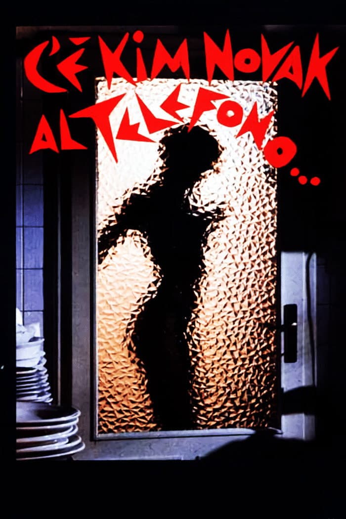 Poster di C'è Kim Novak al telefono