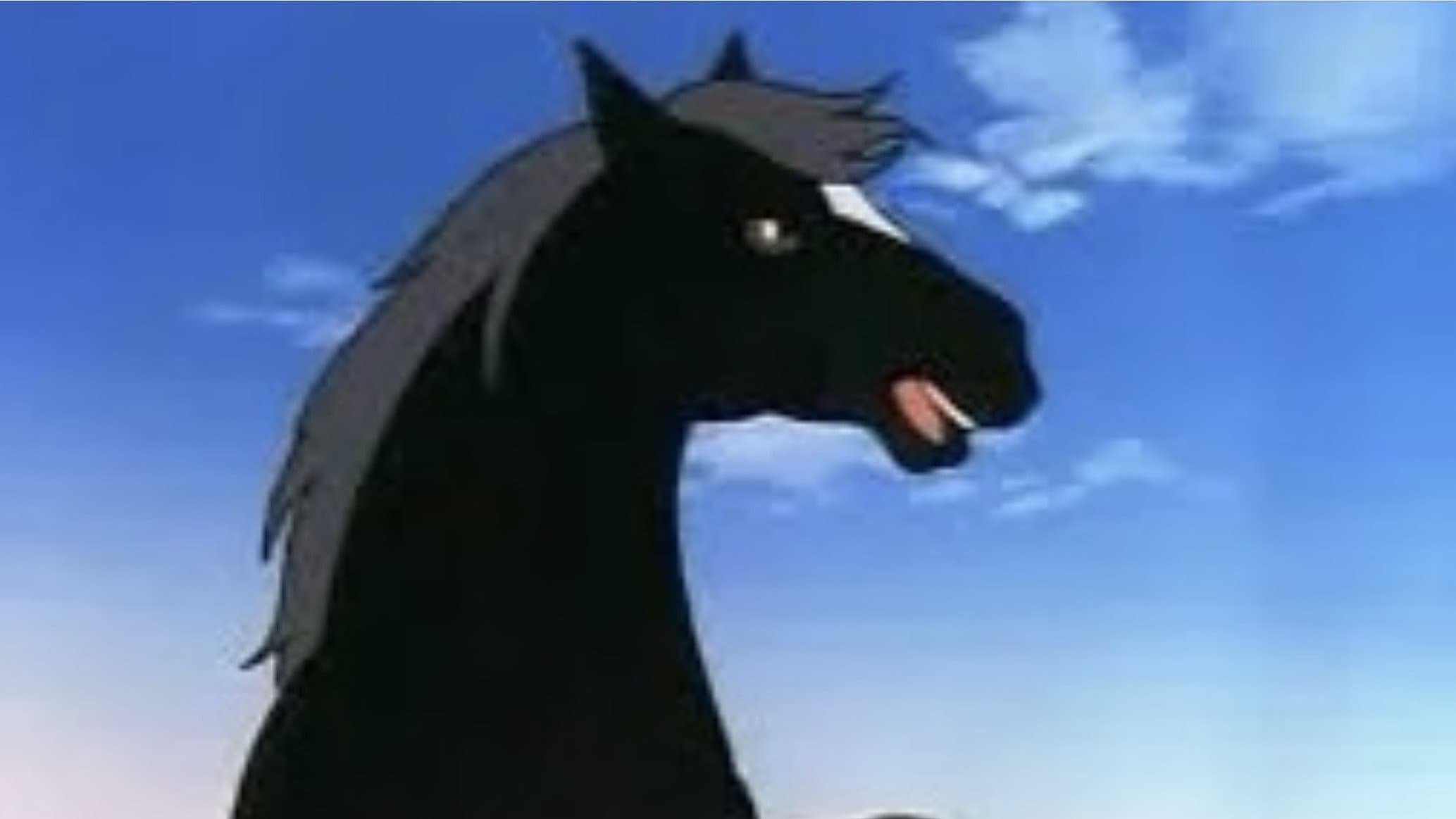 Black Beauty - immagine