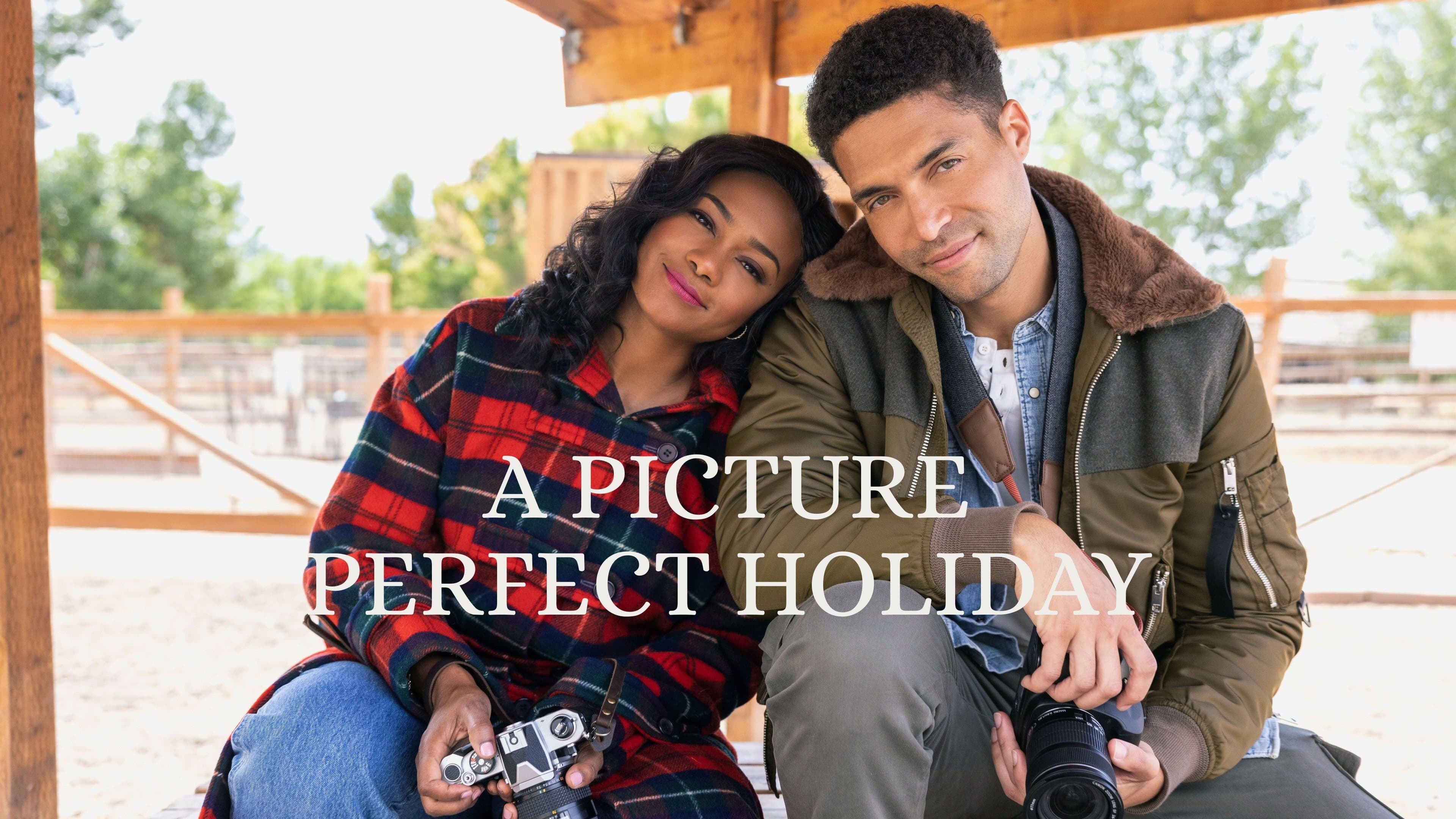 A Picture Perfect Holiday - immagine
