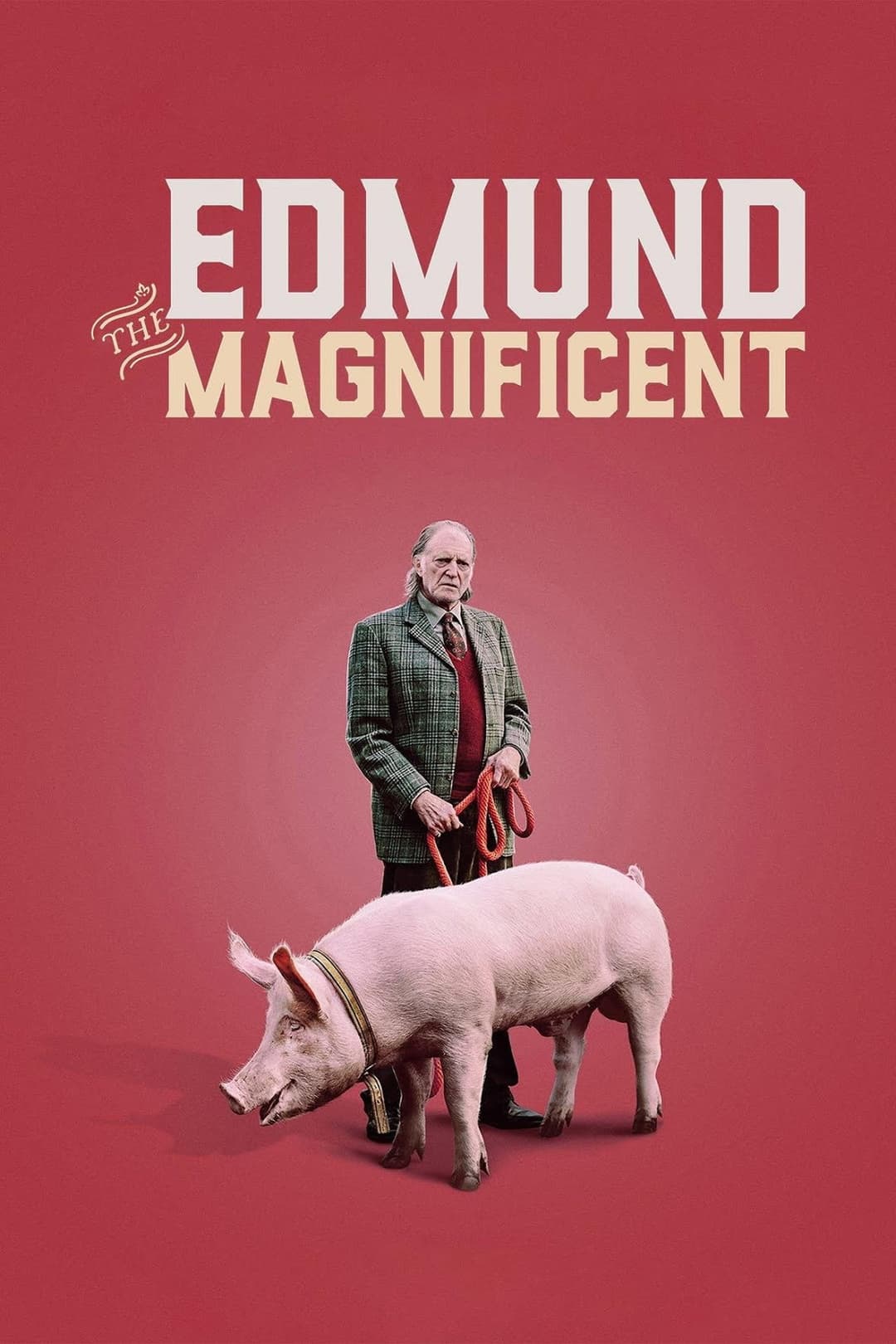 Poster di Edmund the Magnificent