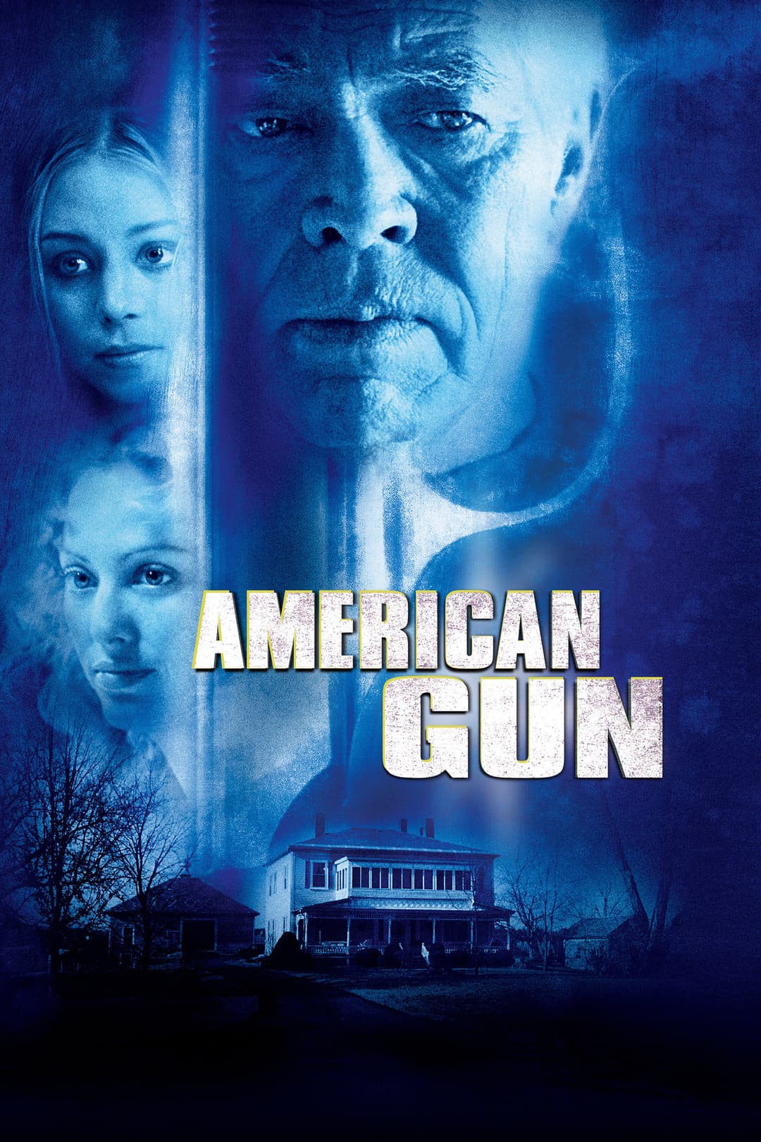 Poster di American Gun