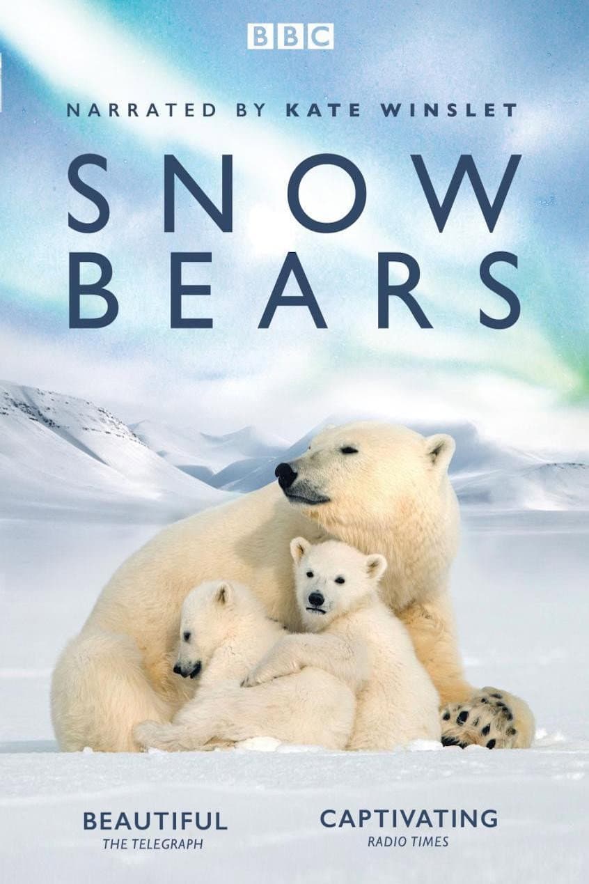 Poster di Snow Bears, vita da orsi