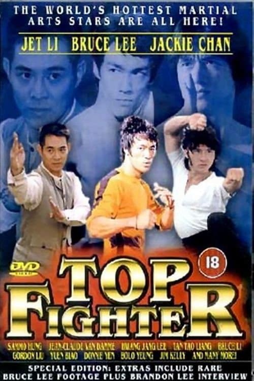 Poster di Top Fighter