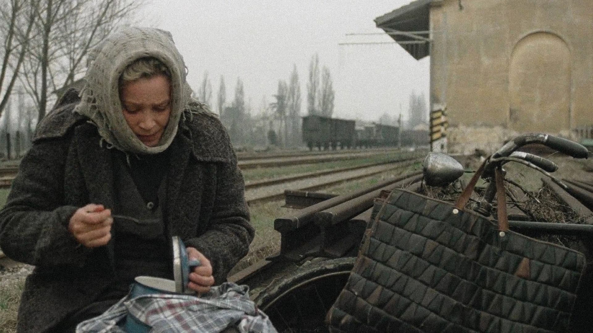 L'Agnese va a morire - immagine