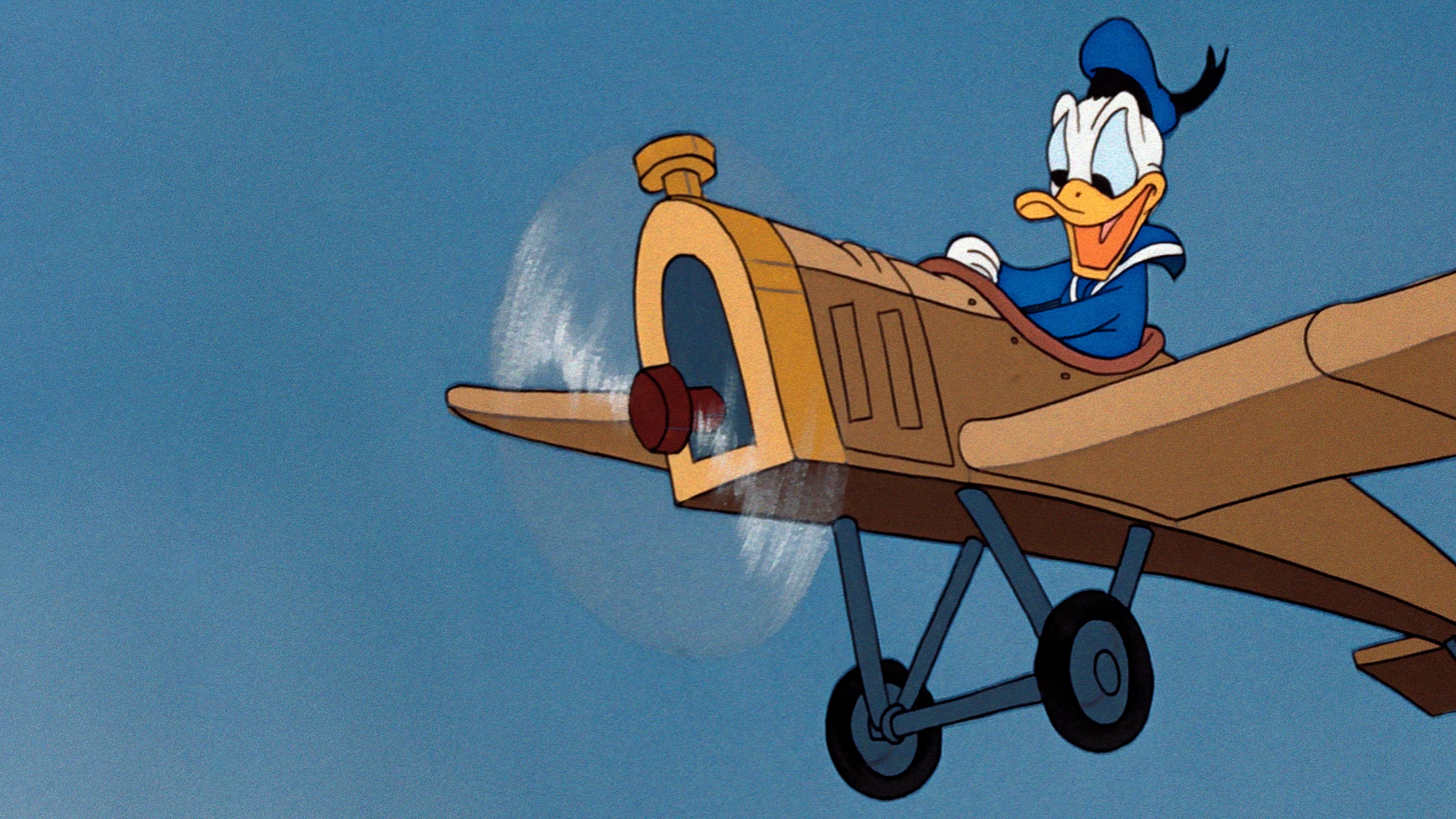 Il macinino volante - immagine