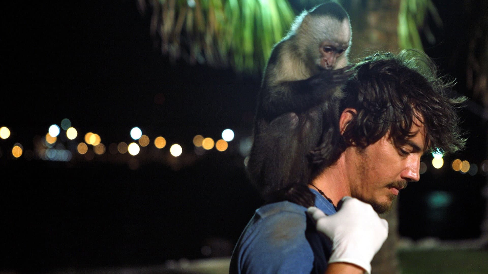 Who's Your Monkey? - immagine