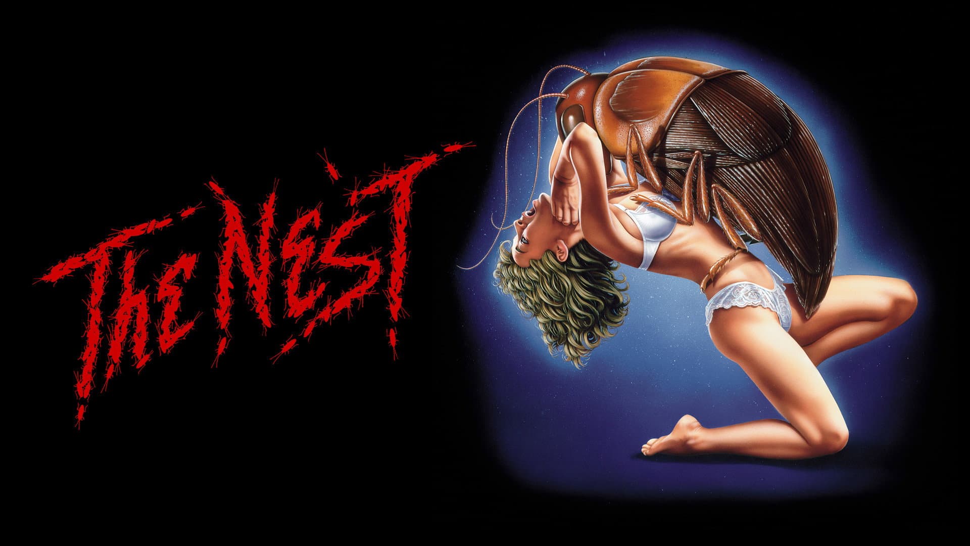 The Nest - immagine