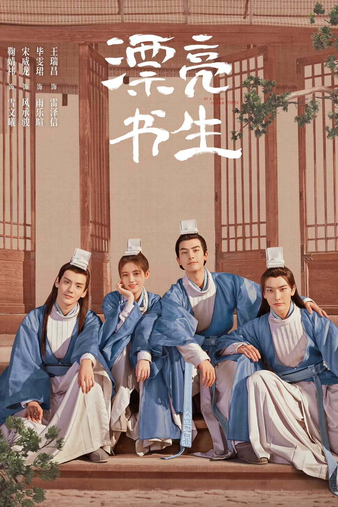 Poster di 漂亮书生