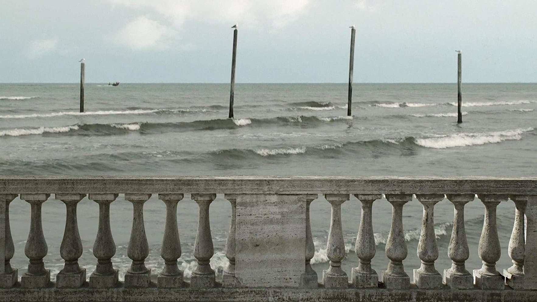 24 Frames - immagine