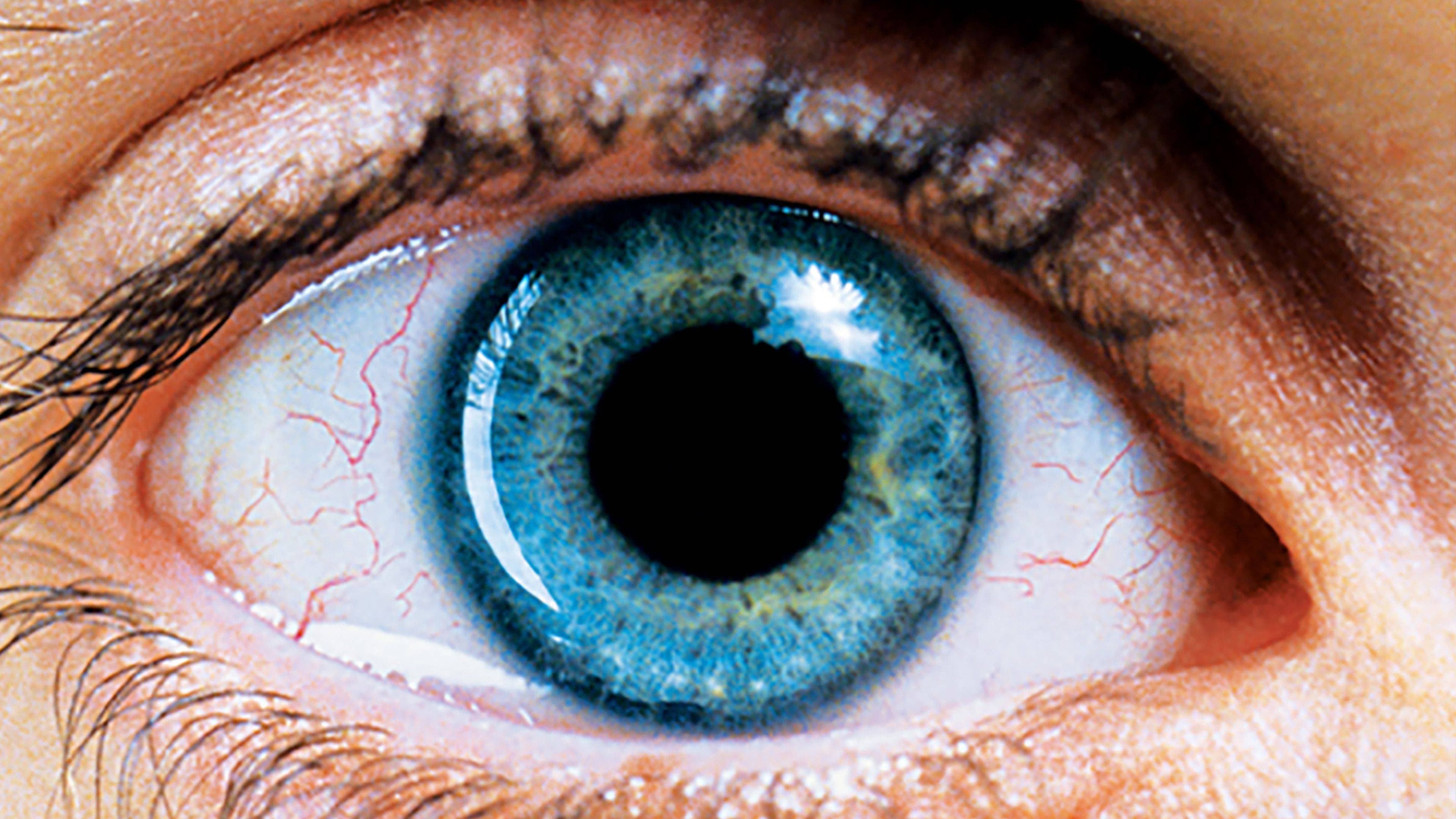 Requiem for a Dream - immagine
