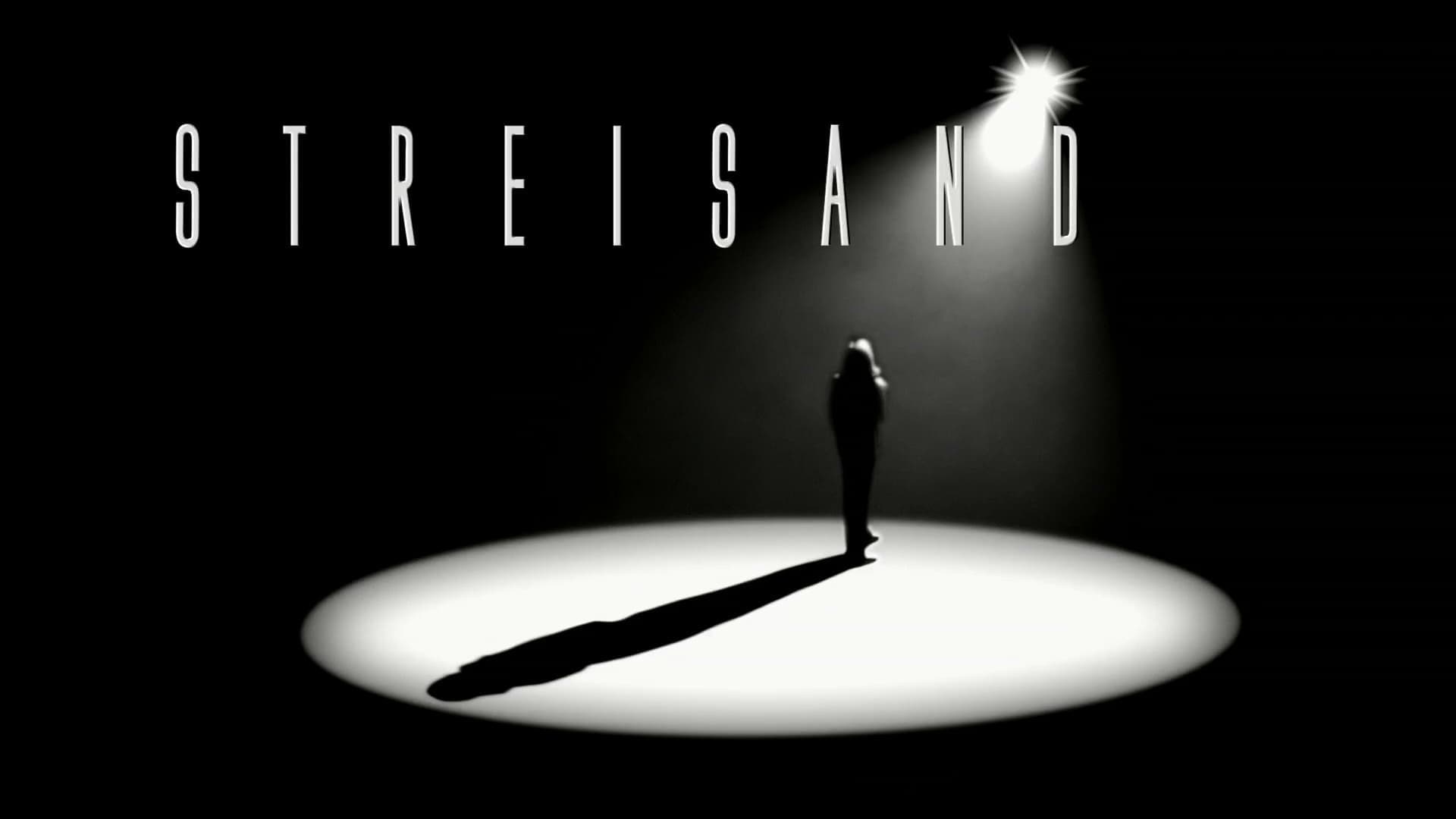 Streisand: Live in Concert 2006 - immagine