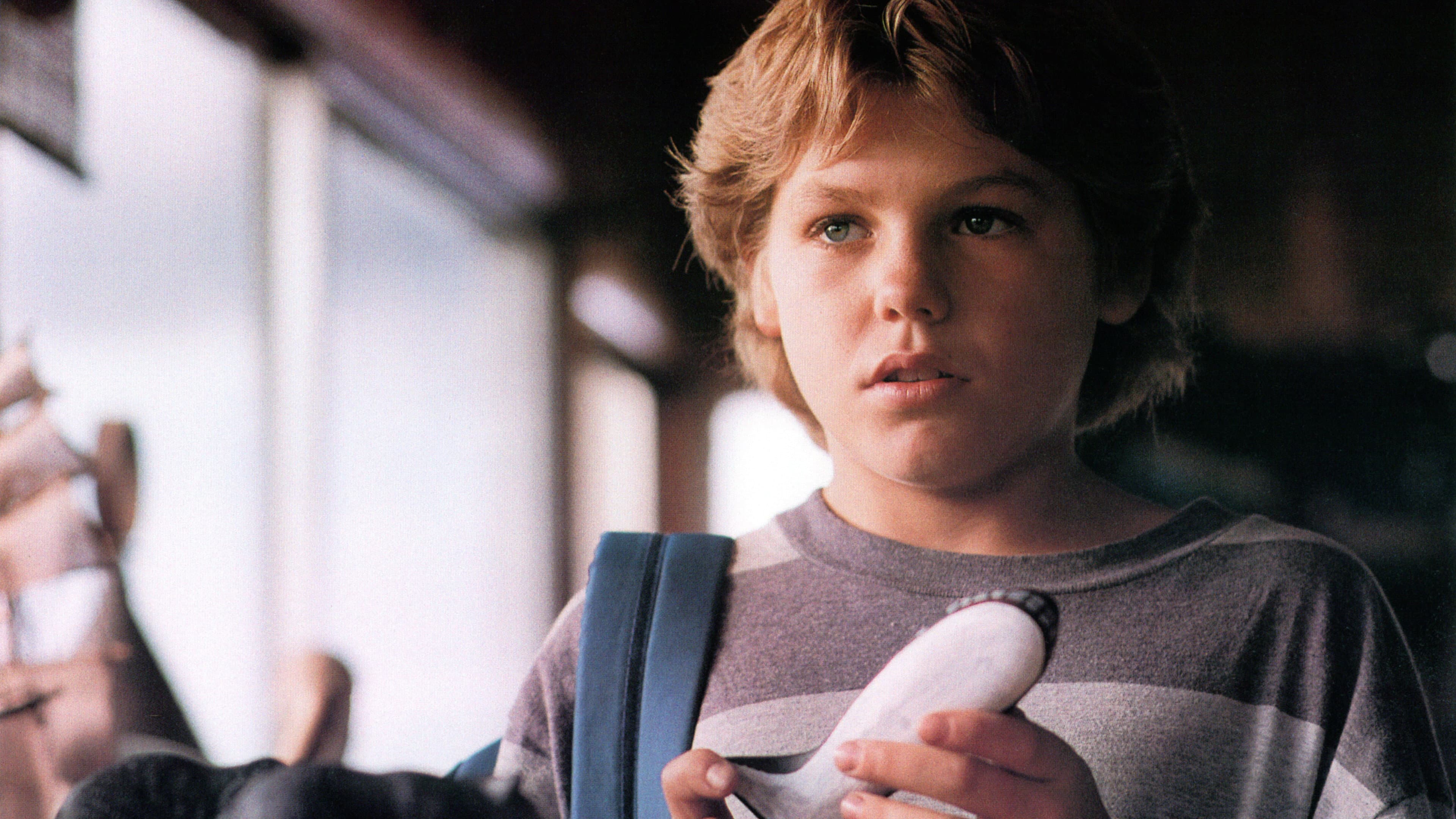 Free Willy - Un amico da salvare - immagine