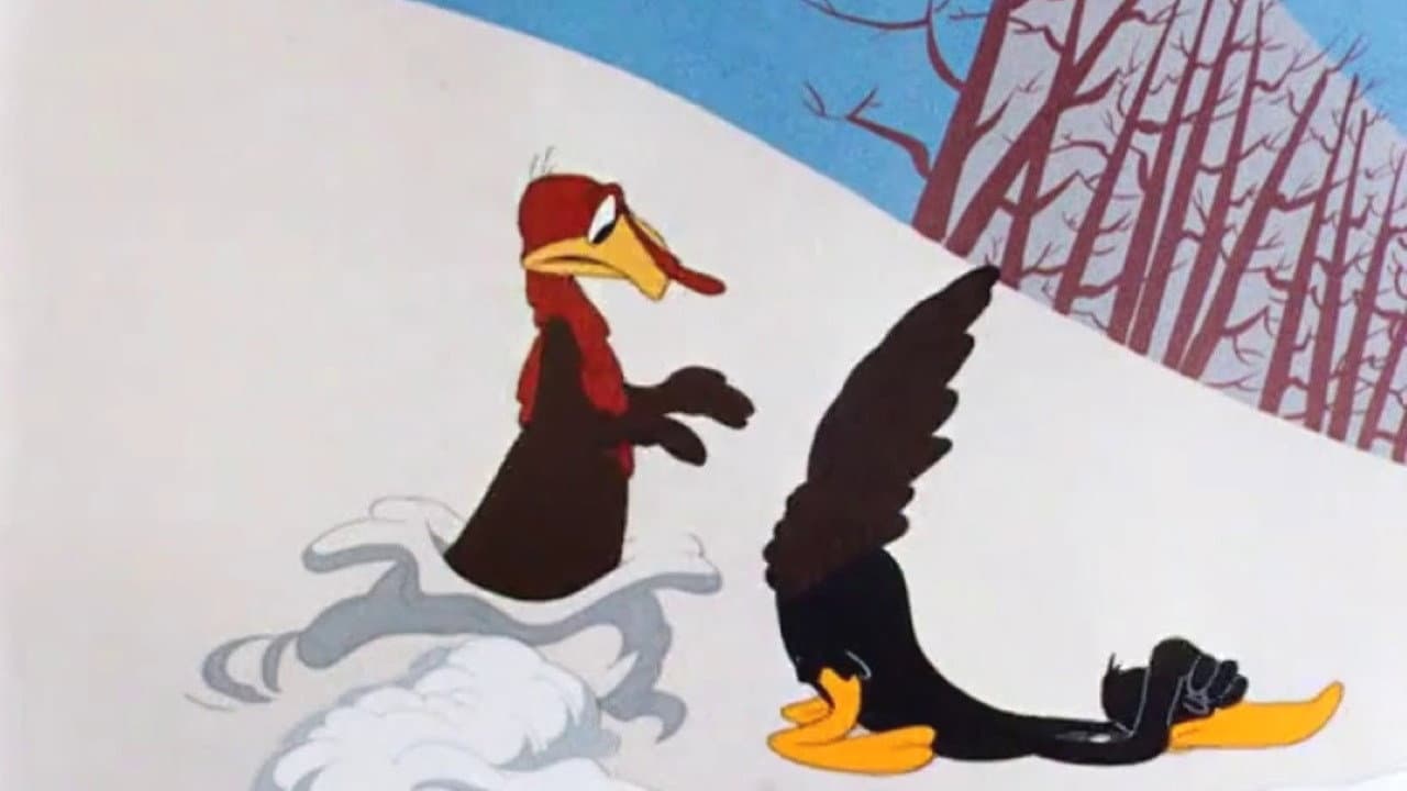 Tom il tacchino e Daffy - immagine