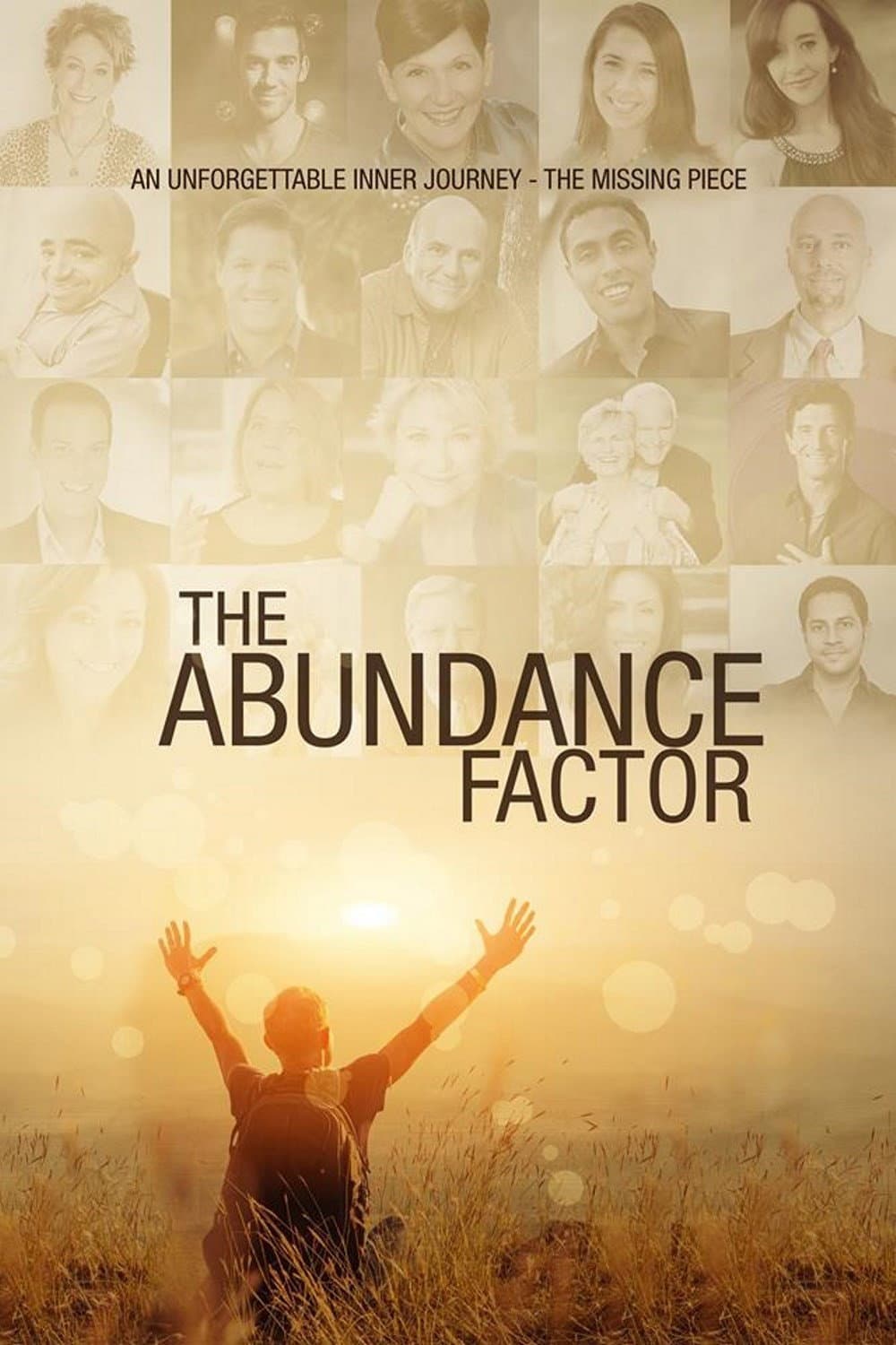 Poster di The Abundance Factor