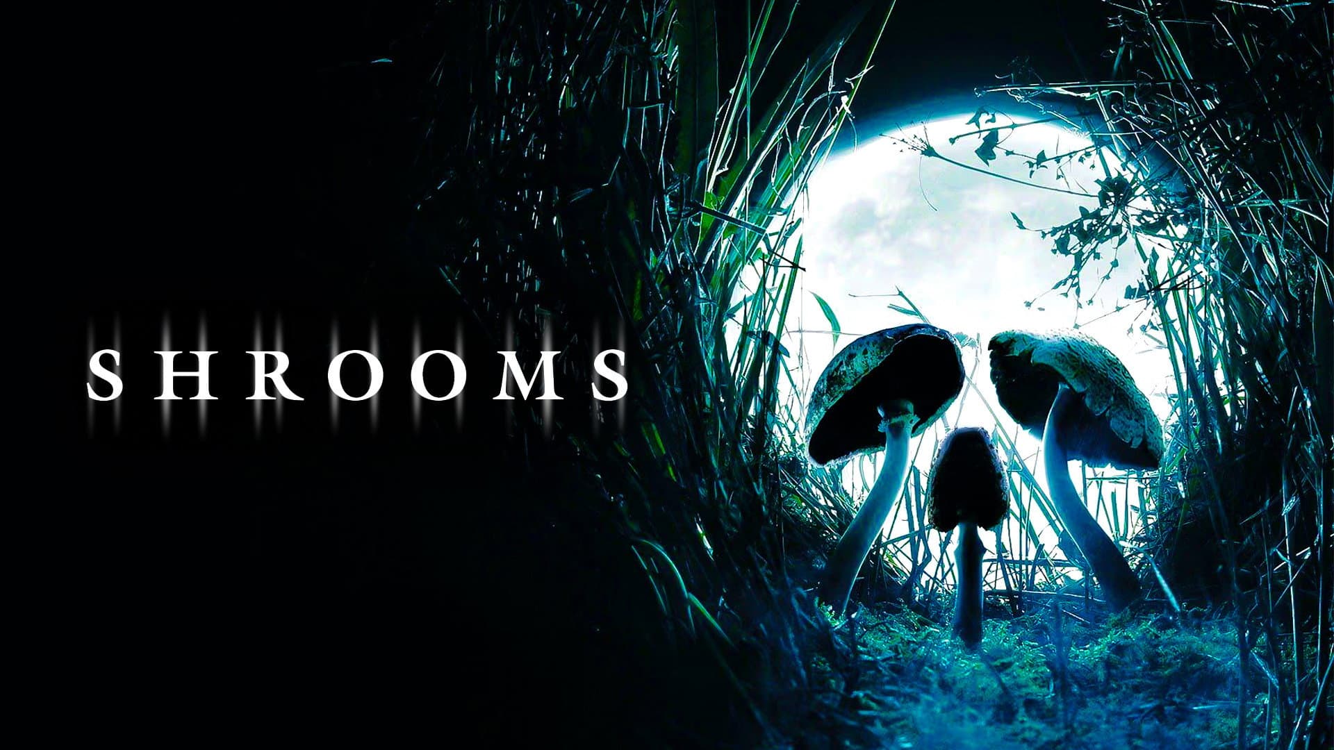 Shrooms - Trip senza ritorno - immagine