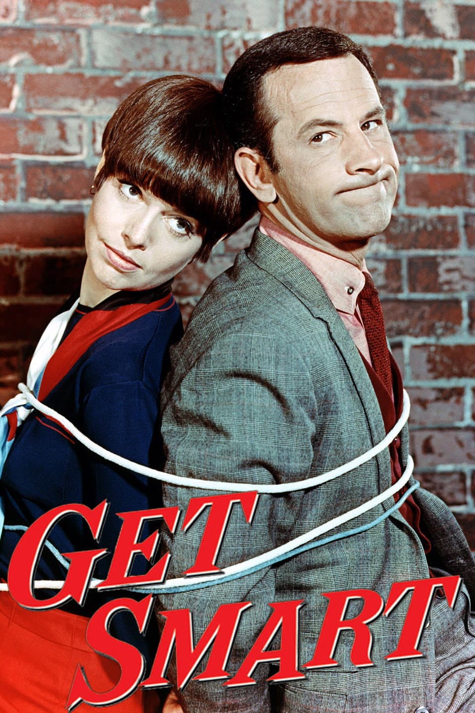 Poster di Get Smart: A Man Called Smart