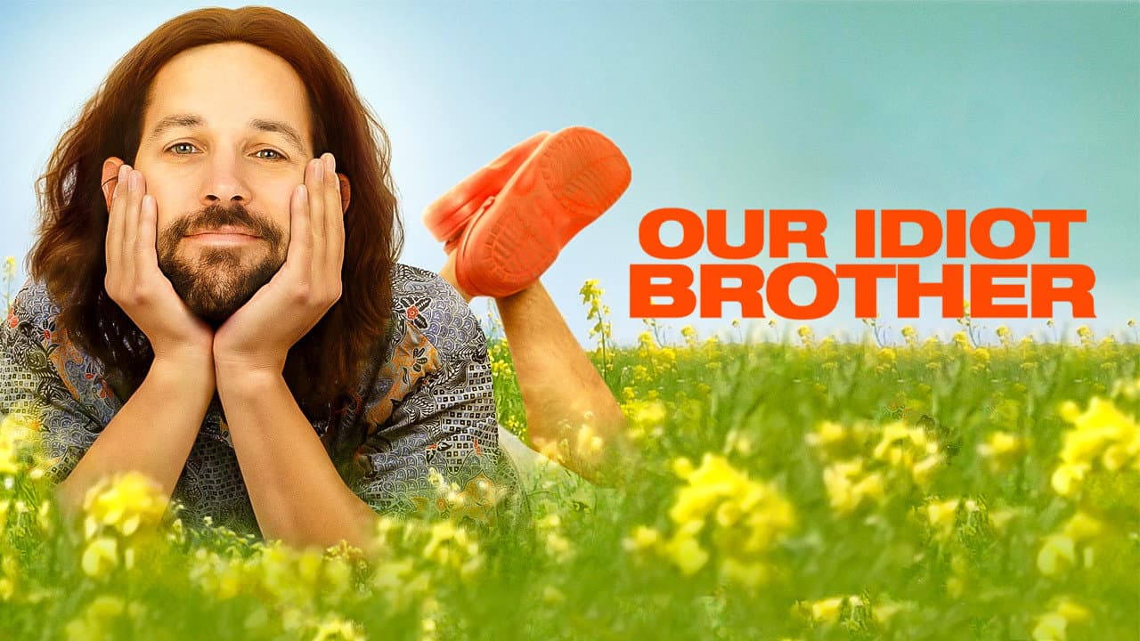 Quell'idiota di nostro fratello - immagine