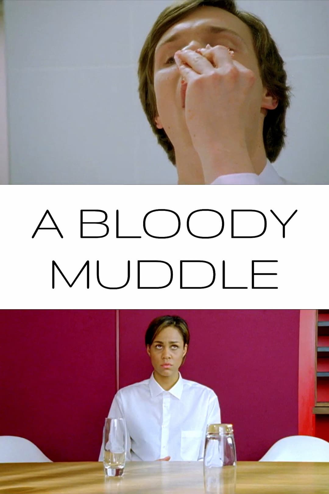 Poster di A bloody muddle