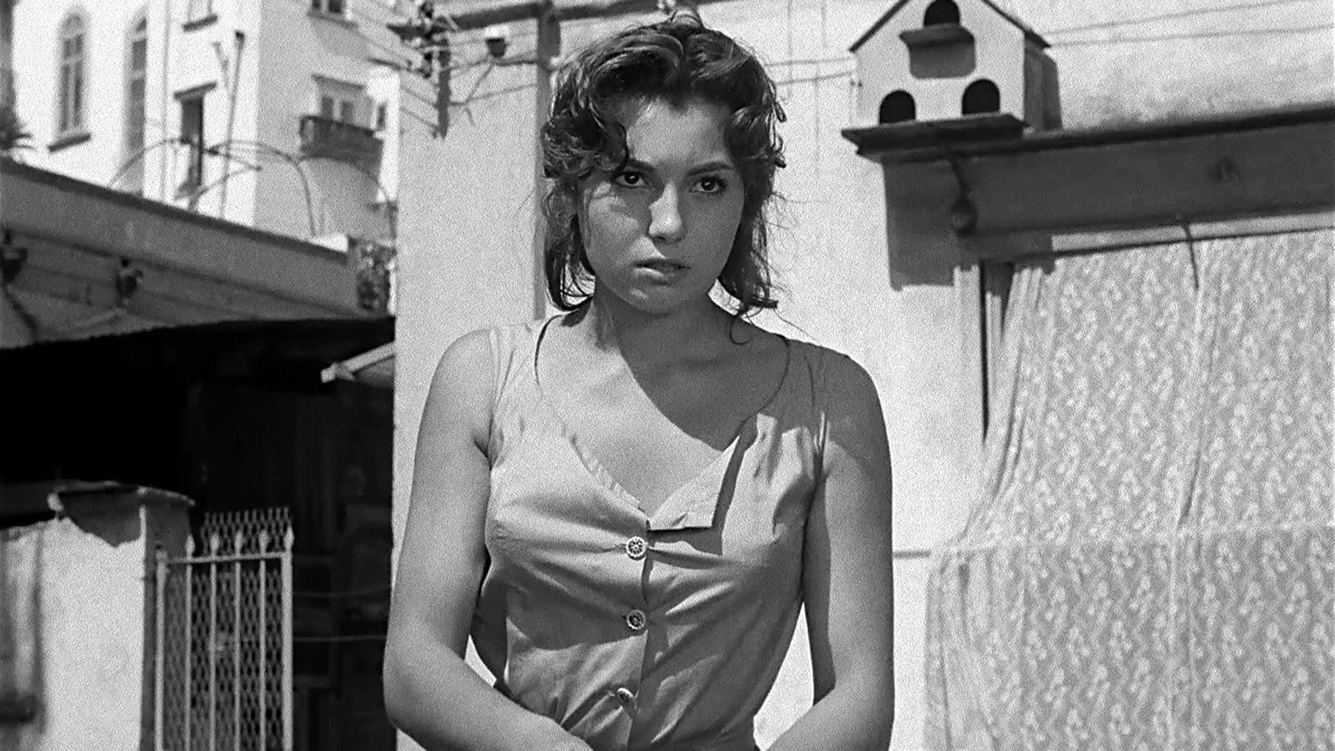 La sfida - immagine