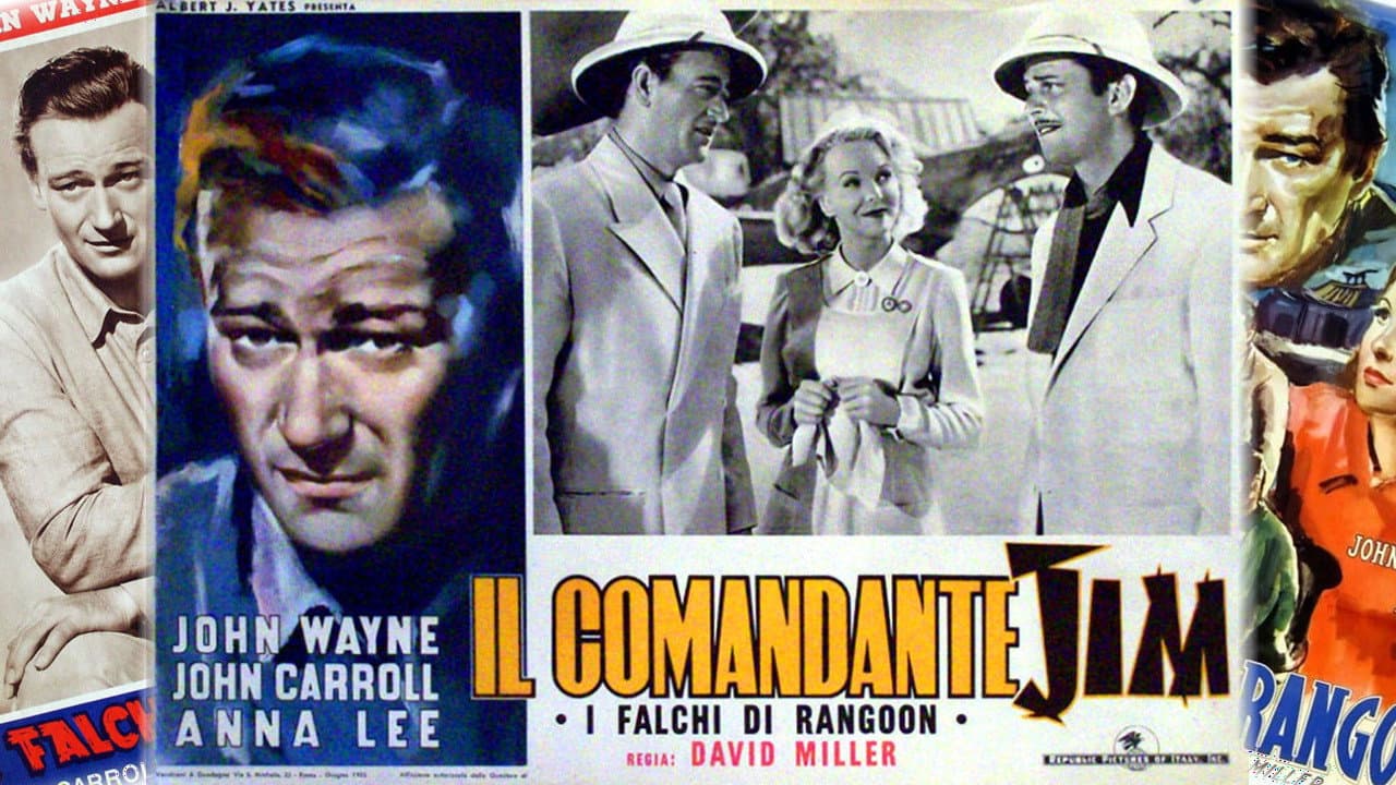 I falchi di Rangoon - immagine