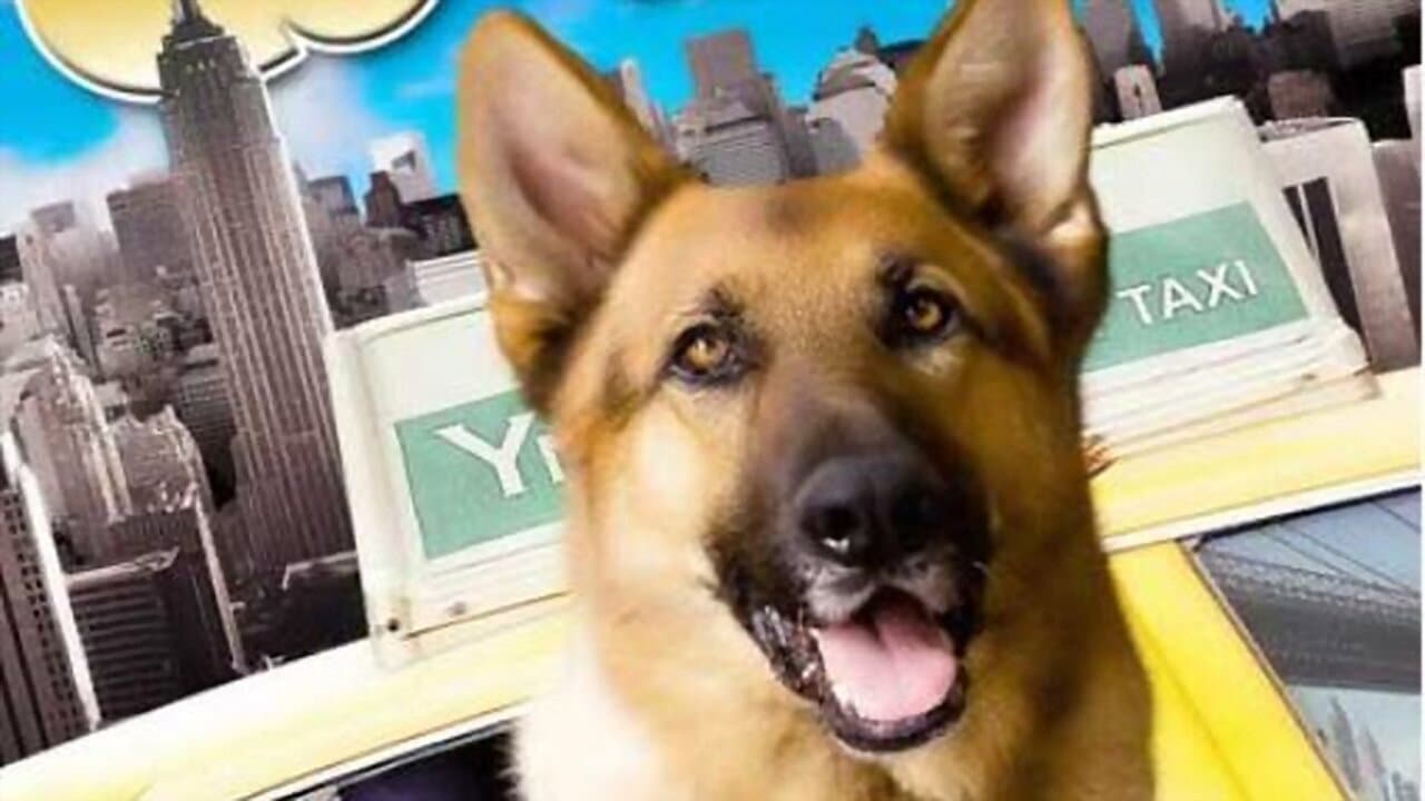 Cool Dog - Rin Tin Tin a New York - immagine
