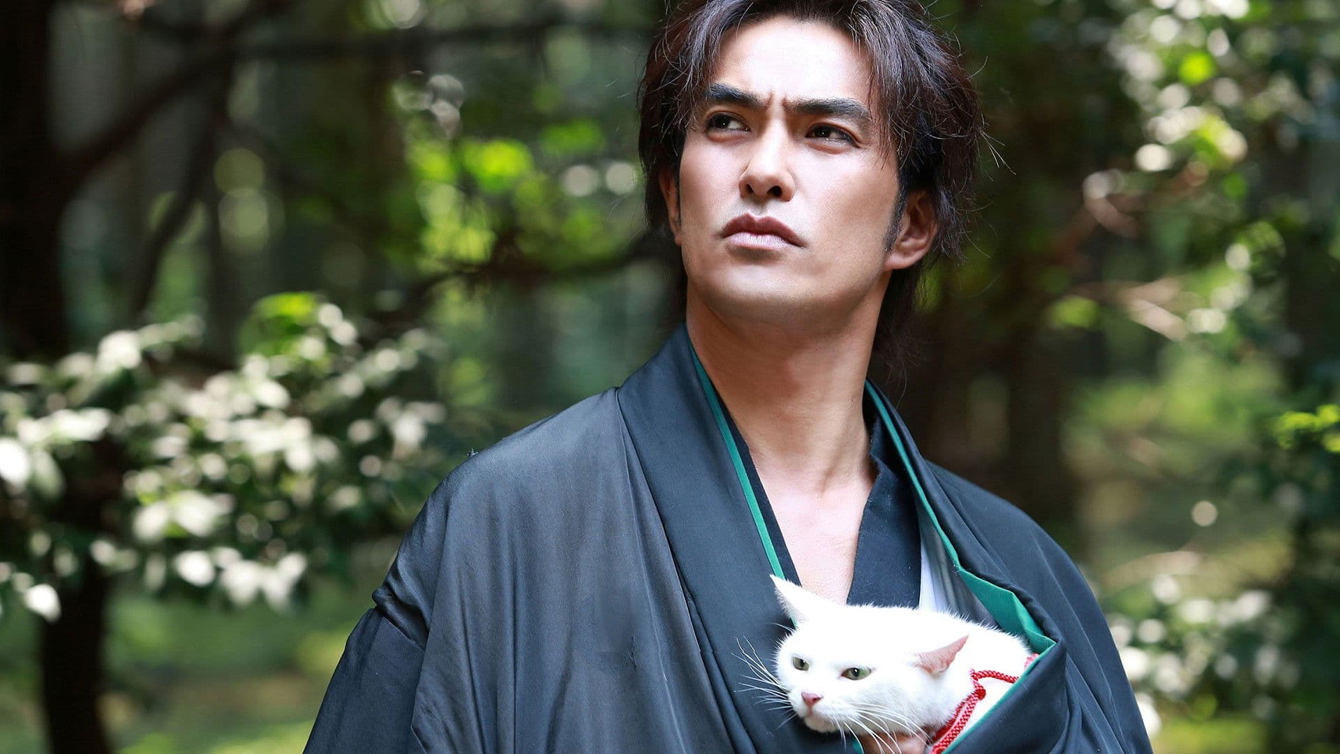Samurai Cat: The Movie - immagine
