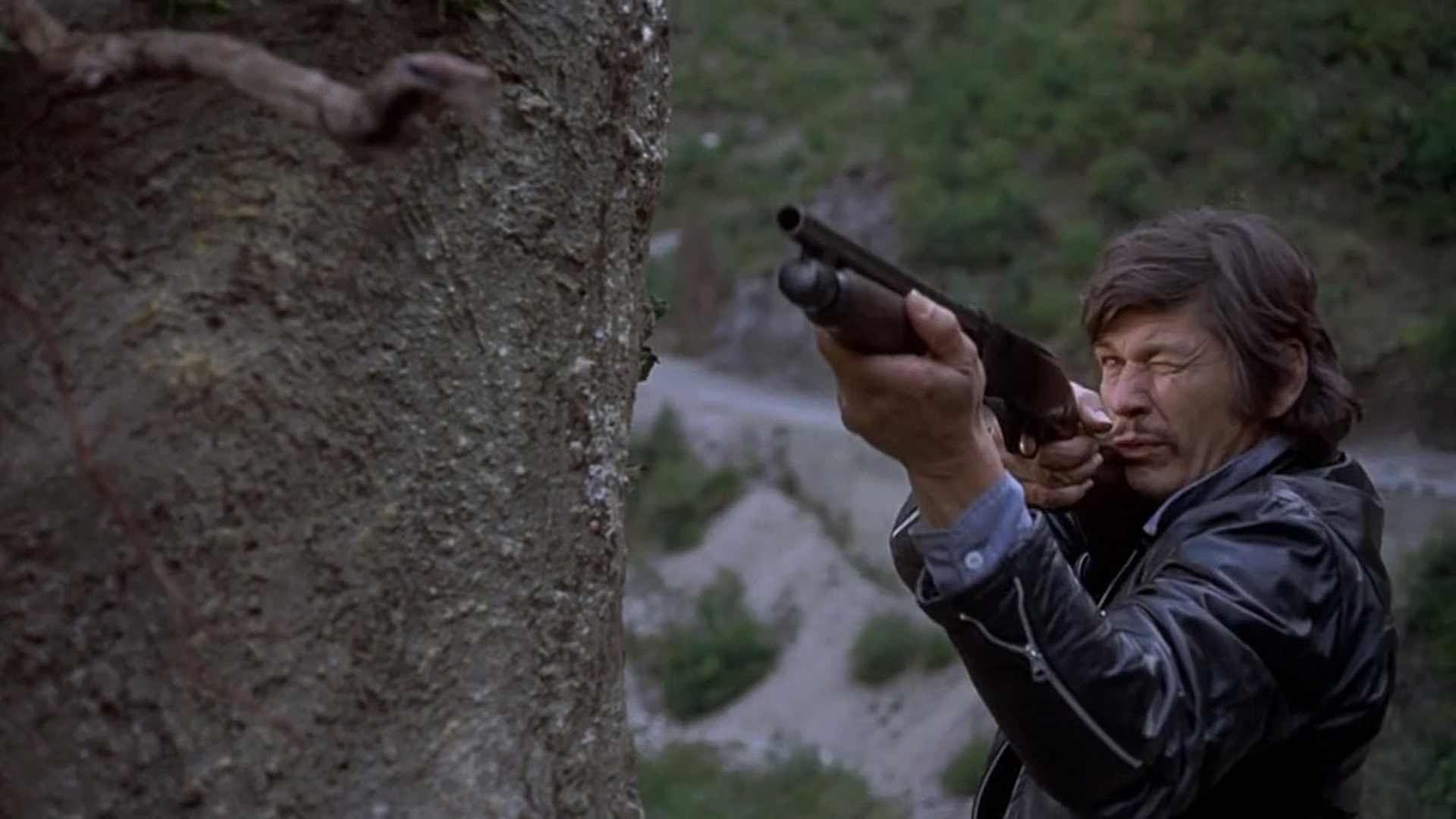 Professione assassino - immagine