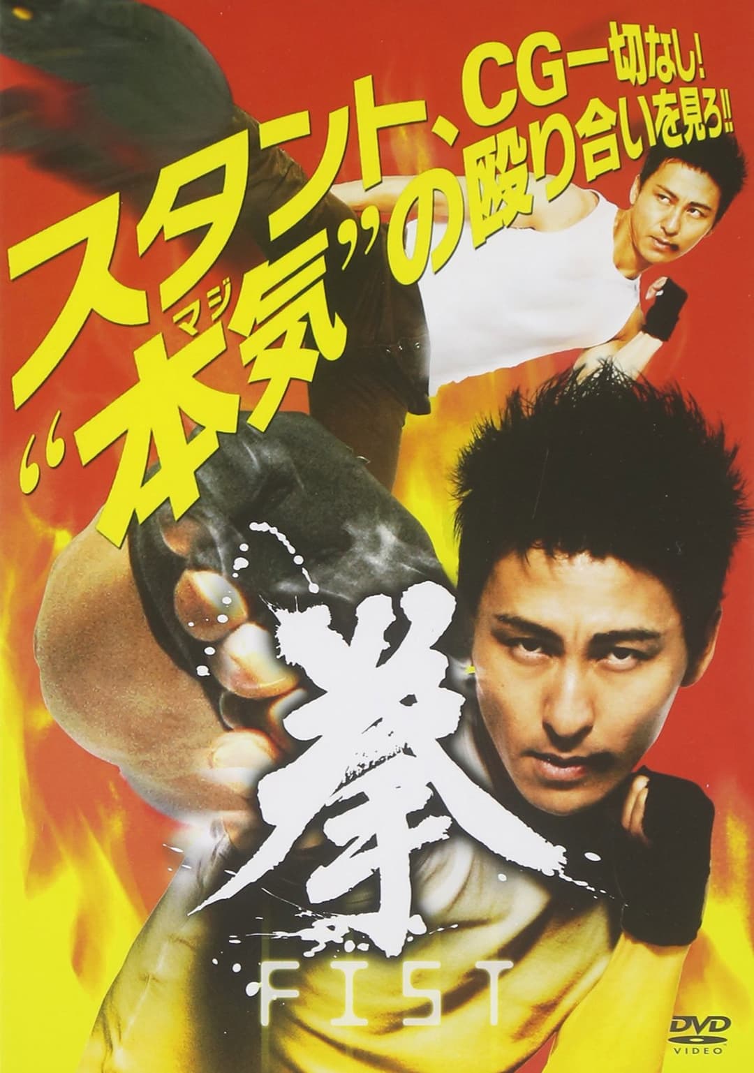 Poster di 拳