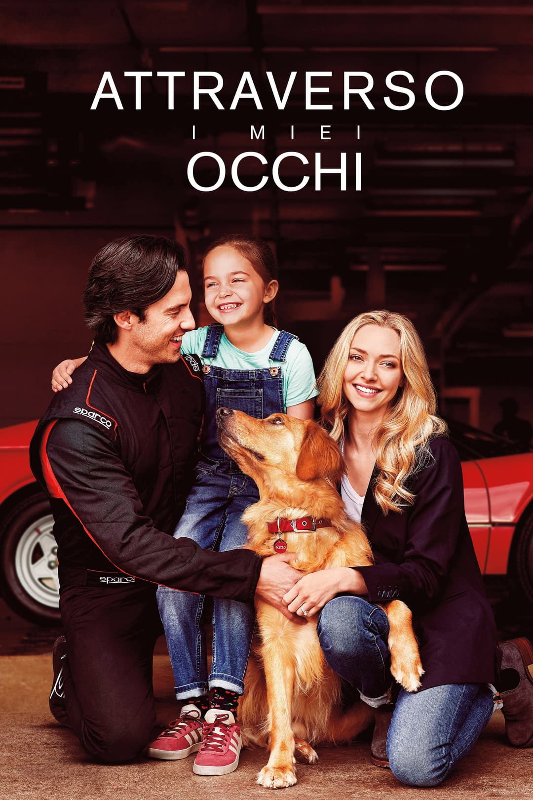 Poster di Attraverso i miei occhi