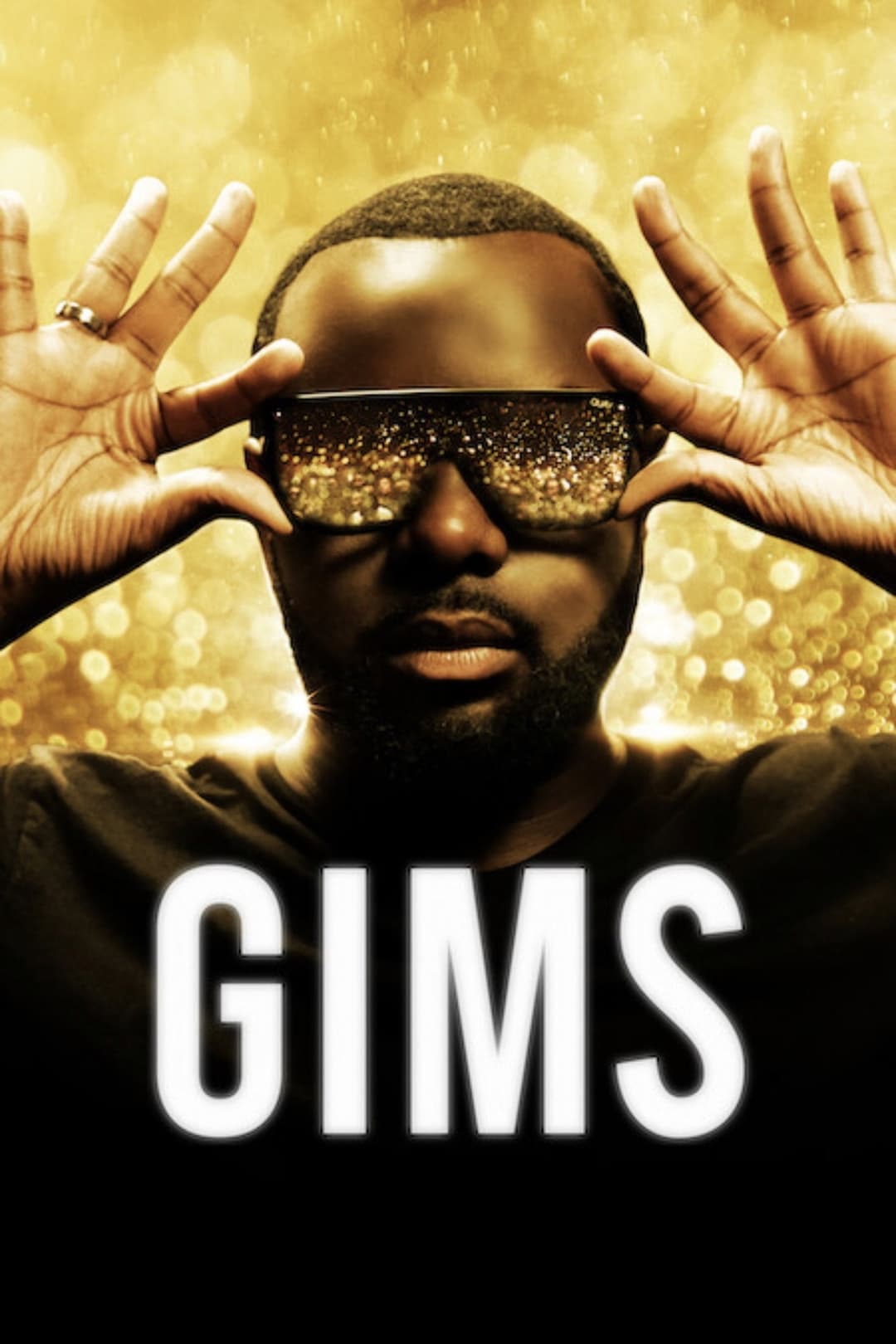Poster di GIMS: On the Record