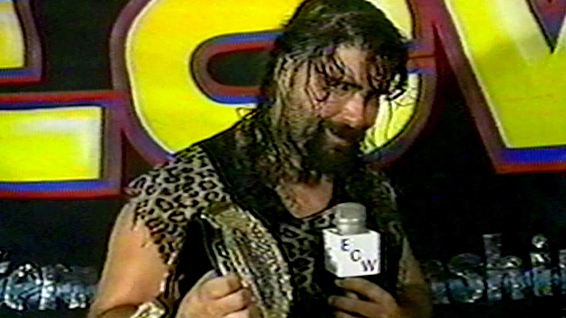 WWE: The Rise + Fall of ECW - immagine