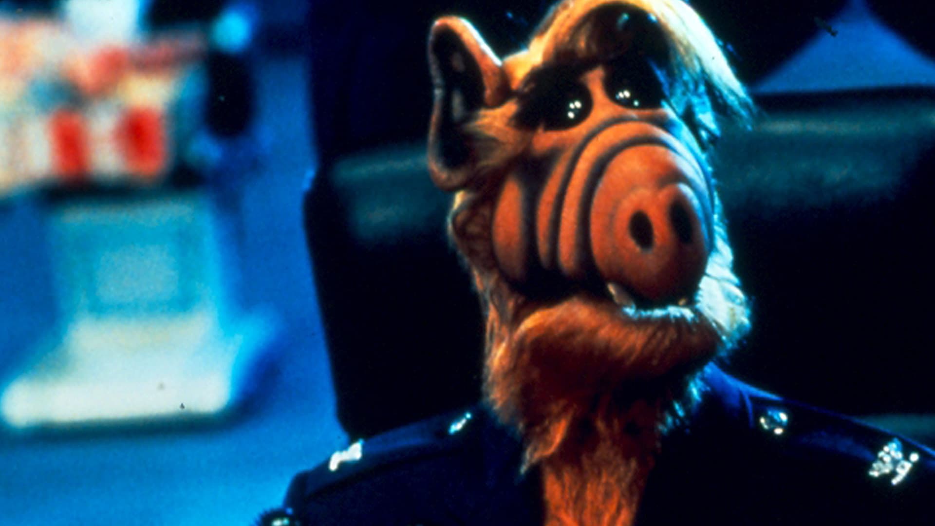 Il mio amico Alf - immagine