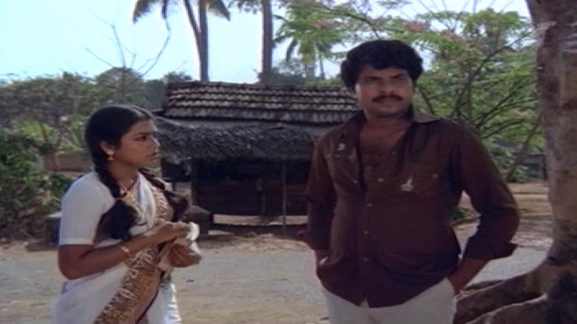 പിൻനിലാവ് - immagine