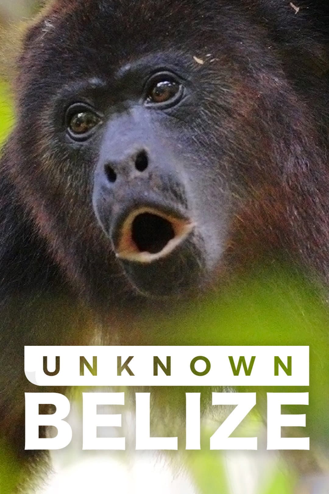 Poster di Unknown Belize