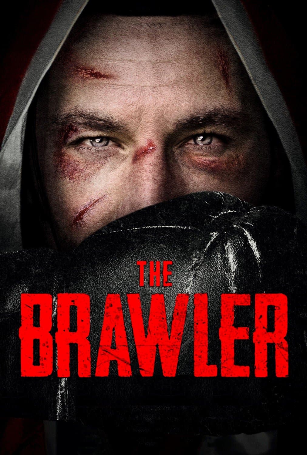 Poster di The Brawler
