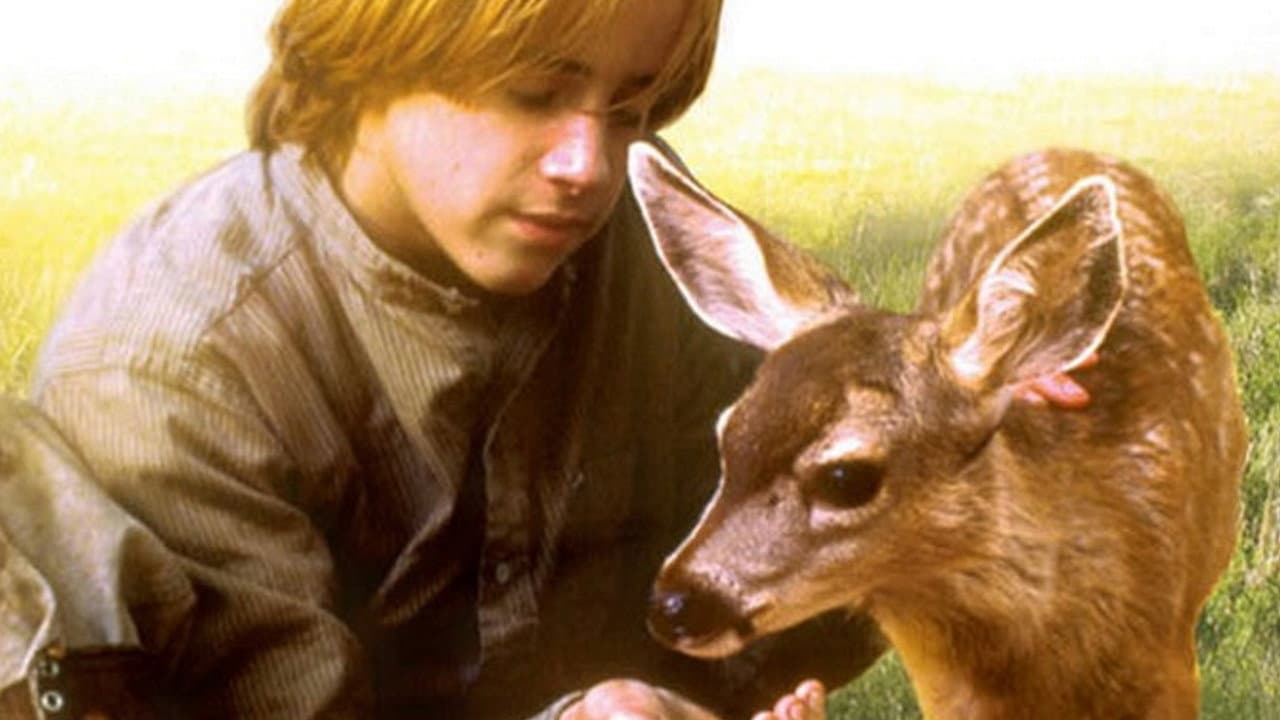The Yearling - immagine
