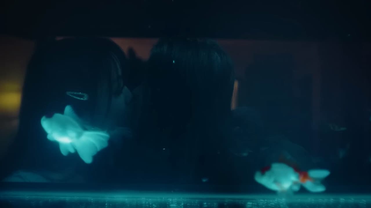 Lucky Fish - immagine