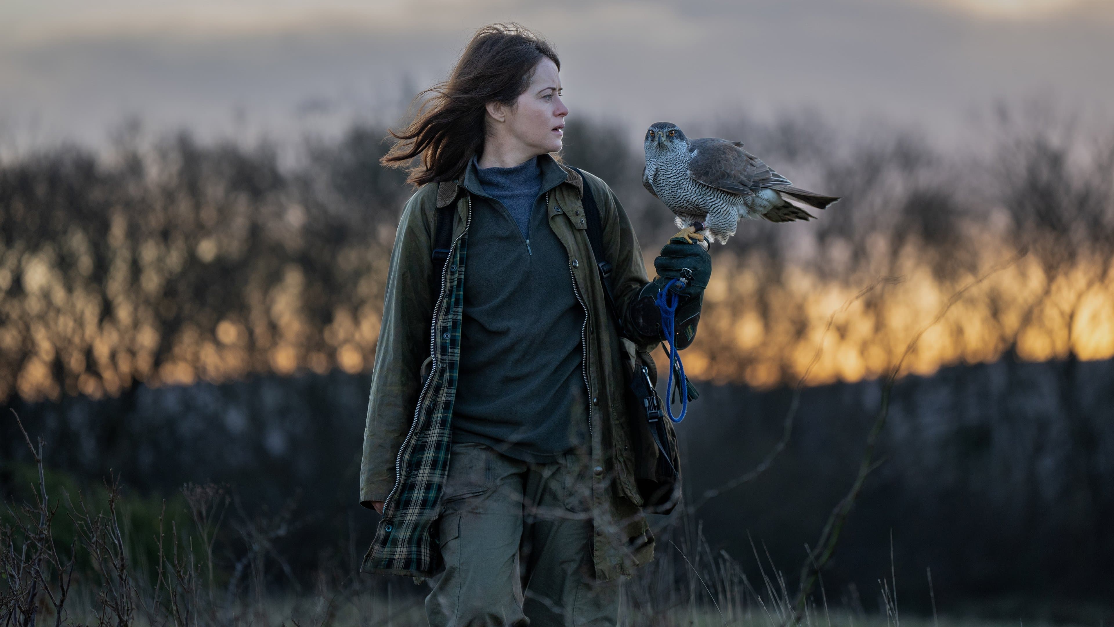 H Is for Hawk - immagine